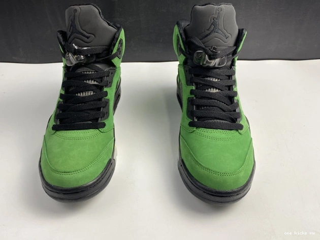 Cheap 5 SE Jordan Ducks Air CK6631-307 Oregon 0521